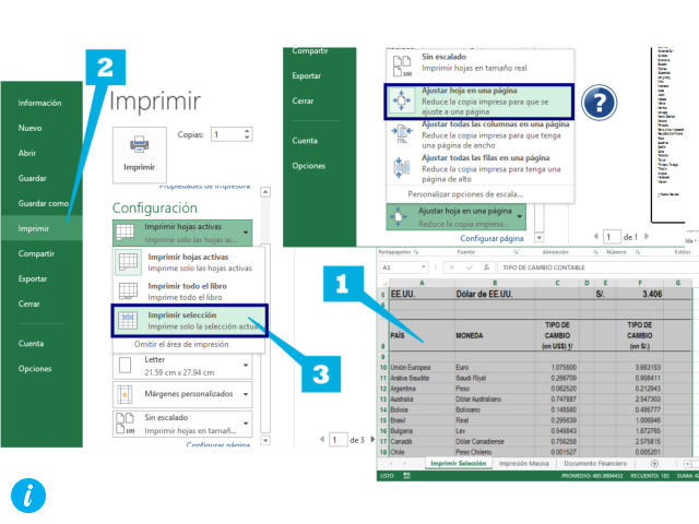  Imprimir selección en Excel