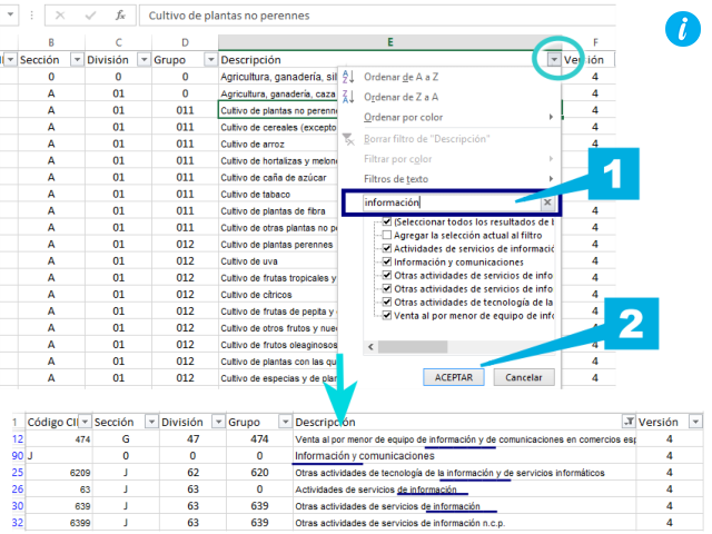 Buscar dentro de filtros en Excel