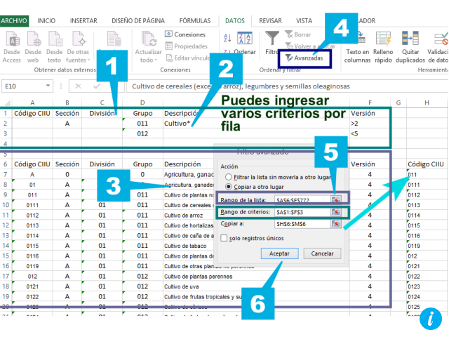 Filtros Avanzados 