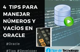 tips para manejar numeros y vacios oracle